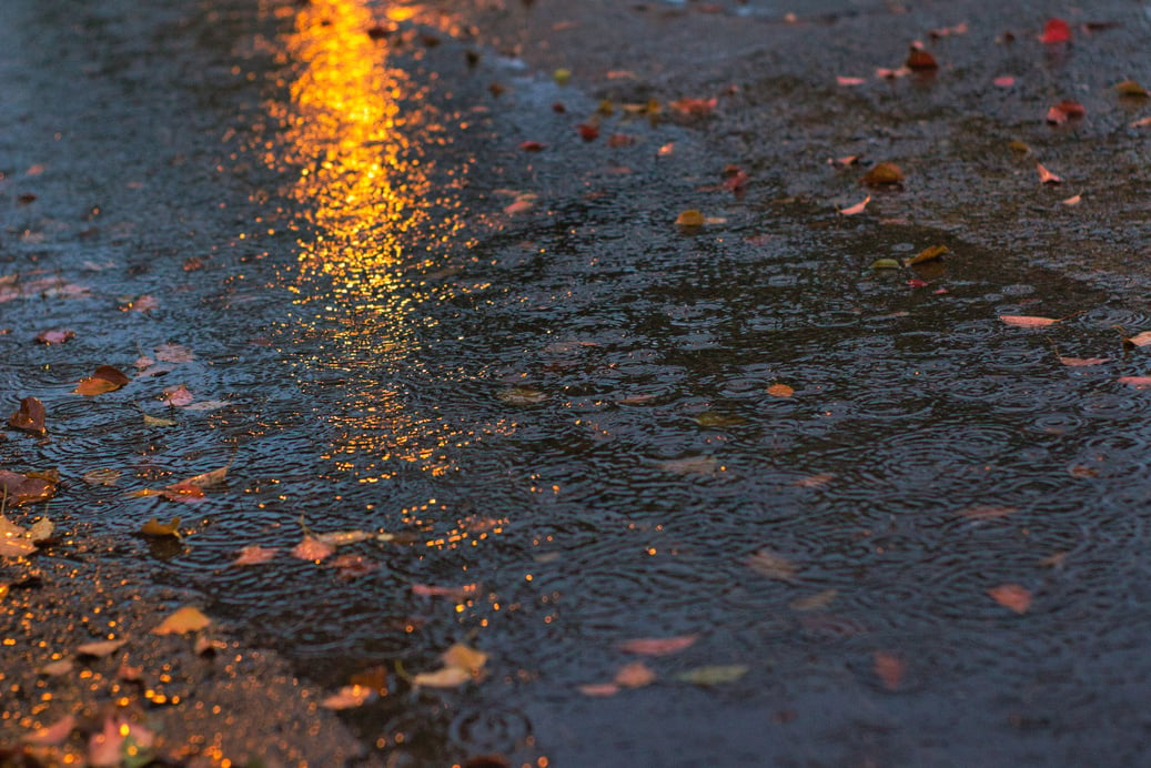 Close-Up Shot of a Puddle While Raining 